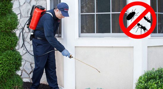 Bayraklı Uçan Haşere İlaçlama böcek ilaçlama ve haşere kontrolü — ilaclama-tr.com